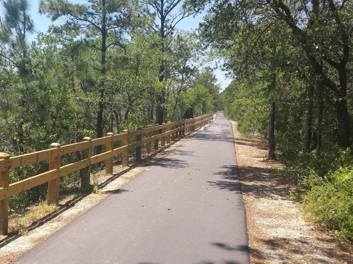 A long straight path through wooded sections of the West Ashley Greenway.