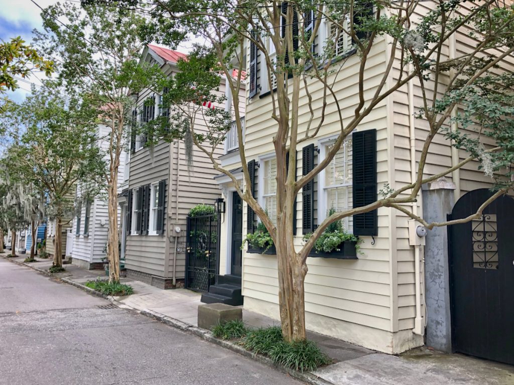 A street view of Charleston Single Houses in Ansonborough with a row of crepe myrtle trees along the sidewalk.