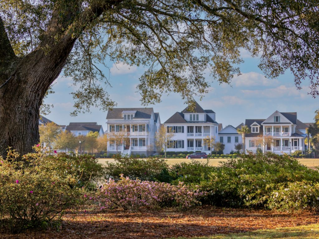 A distance view of several large homes with double porches as viewed from near a large live oak tree surrounded by shrubs.