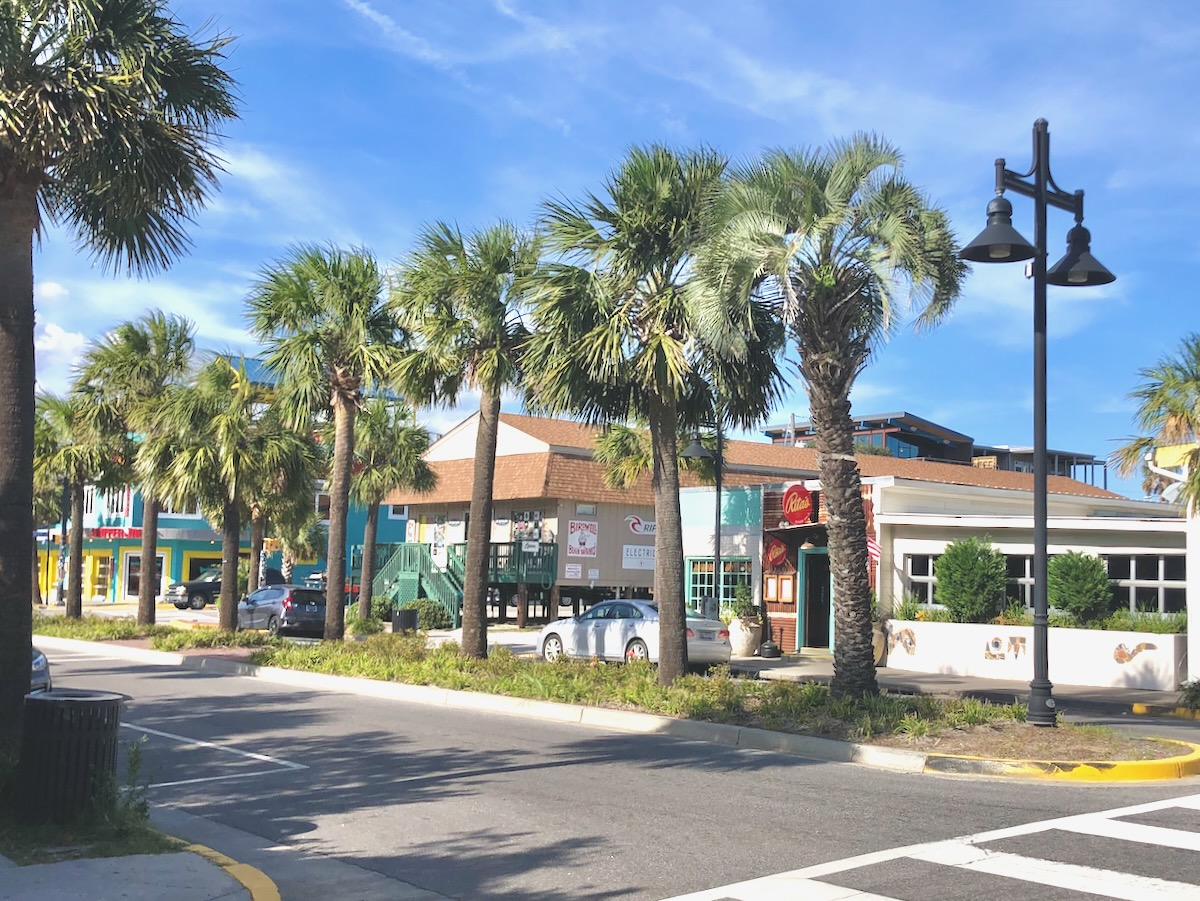 A row of beach shops along Center Street on Folly Beach with a row of tall green palmetto trees between the two lanes of the street.