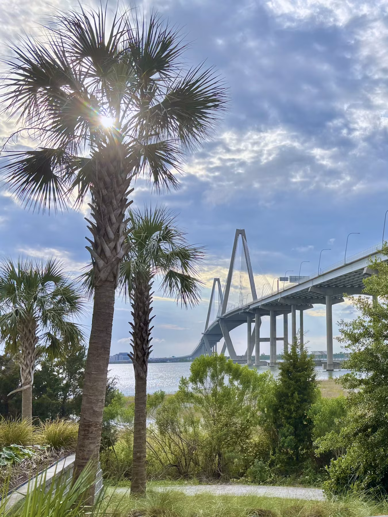 Palmetto trees frame a waterfront view of the Ravenel Bridge, with sun glare and a cloudy blue sky.