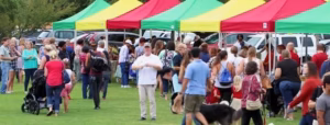 Crowd walking through a sunny outdoor farmers market lined with colorful vendor tents and parked vehicles in the background.